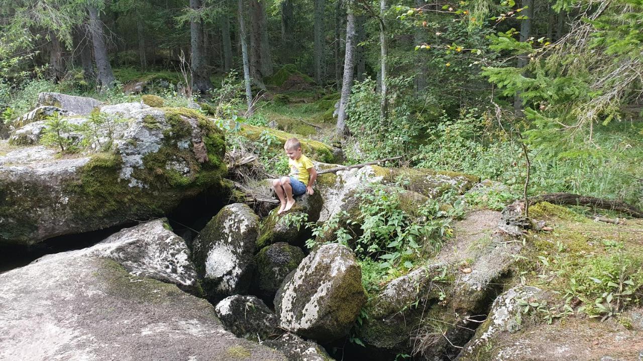 Ferienhaus Buxbaum Arbesbach Eksteriør bilde