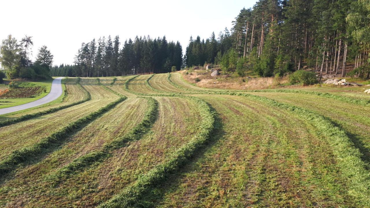 Ferienhaus Buxbaum Arbesbach Eksteriør bilde